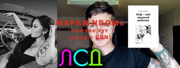 a pvp Аркадак