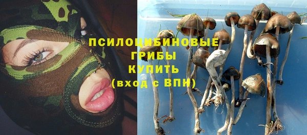 mdpv Армянск